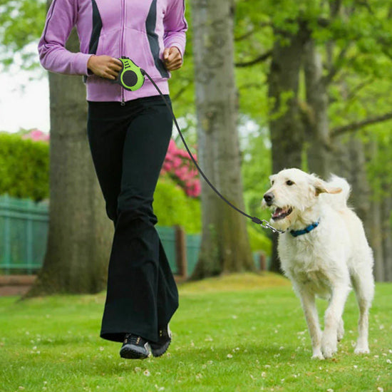 automatic retractable dog leash with brake lock